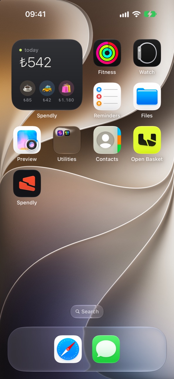 Spendly home screen widget